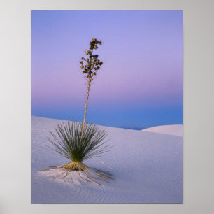 PÓSTER MONUMENTO NACIONAL WHITE SANDS, NOVO MÉXICO.