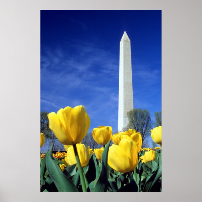 Poster Monumentos | Monumento a Washington em Primavera (Frente)