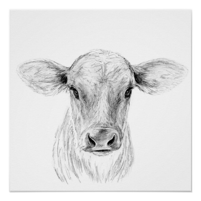 Póster Moo A Young Jersey Cow (Frente)