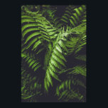 Poster Moody Dark Green Fern Leaves Botanical Nature<br><div class="desc">Bring the calming, mysterious beauty of the authentic deep forest into your personal space with this stunning botanical photographic poster. This vertical wall art features a breathtaking, high-resolution macro photograph of lush, dark green fern leaves. Captured in a real woodland setting, the dramatic interplay between the vibrant green fronds and...</div>