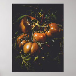 Poster Moody Rustic Tomatoes Vintage Farmhouse Kitchen