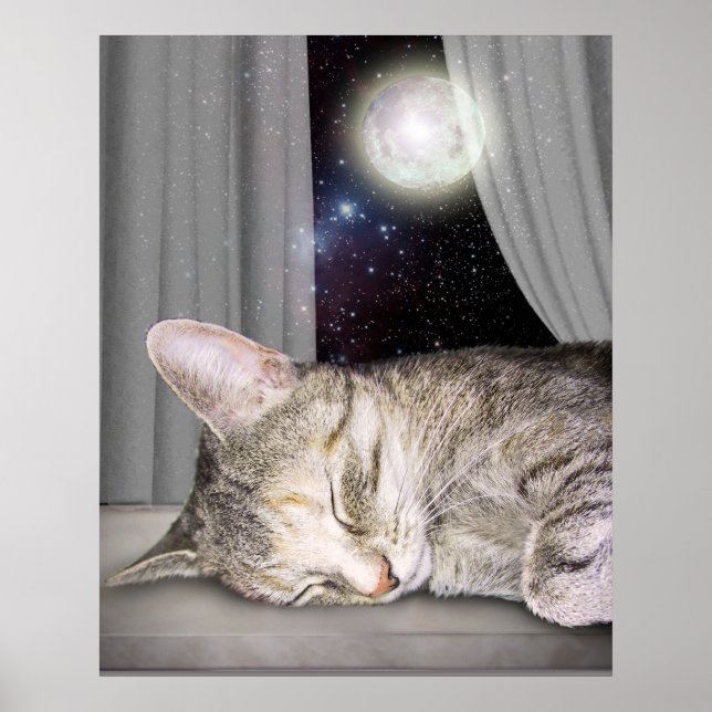 Póster Moon Cat (Frente)