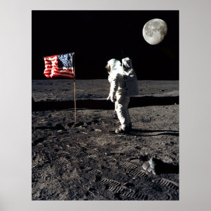 Poster Moon Landing Irony