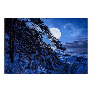 Póster Moon over snowy fir tree and sea coast at night