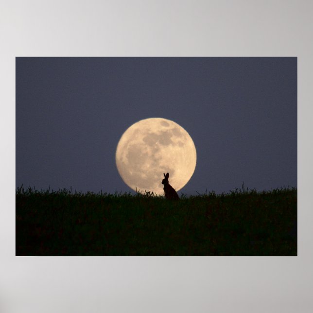 Póster Moongazer (Frente)