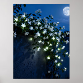 Poster Moonlit White Flowers Vine Art