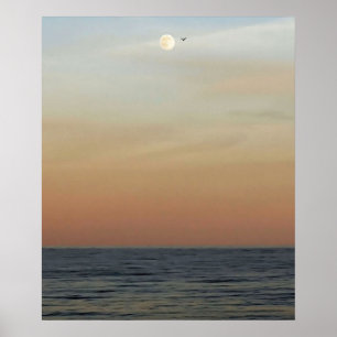 Poster Moonrise financeira