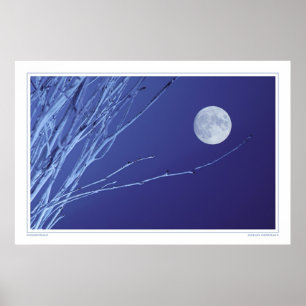 Póster Moonstruck