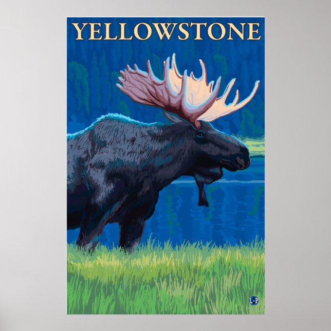 Póster Moose à Noite - Parque Nacional de Yellowstone (Frente)