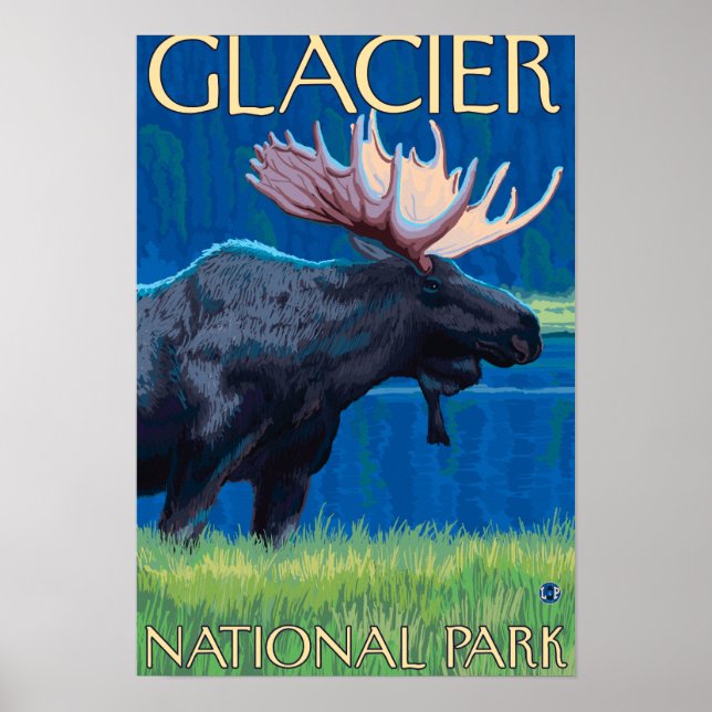 Póster Moose à noite - Parque Nacional Glacier, MT (Frente)