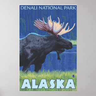 Póster Moose at Night - Denali Nat'l Park, Alaska