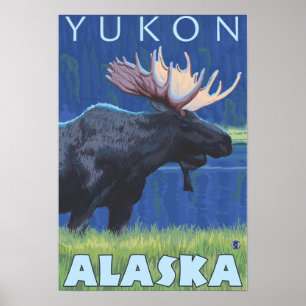 Poster Moose at Night - Yukon, Alaska