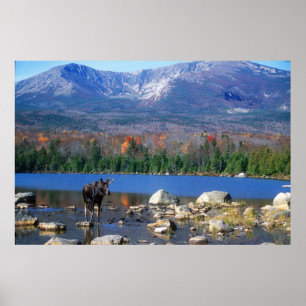 Póster Moose e Monte Katahdin