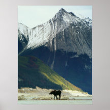 Moose no Lago Medicine