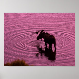 Poster Moose Silhouette