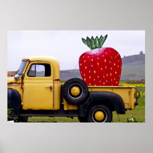 Póster Morango orgânica