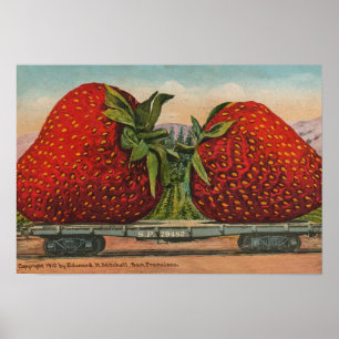 Póster Morangos Gigante Antigo Fruta Diversão