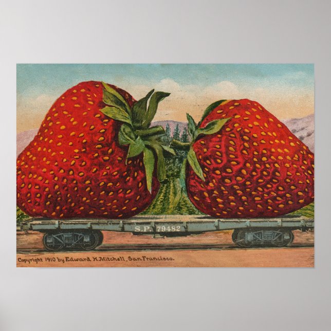 Póster Morangos Gigante Antigo Fruta Diversão (Frente)