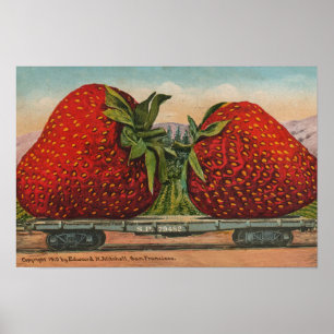 Póster Morangos Gigante Antigo Fruta Diversão