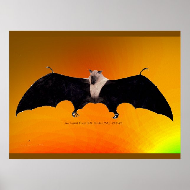 Poster Morcego-da-fruta-indiano (Frente)