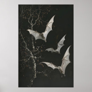Poster Morcegos Frutíferos Albino Arte Imprimível, Botâni