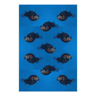 Póster Morda-me