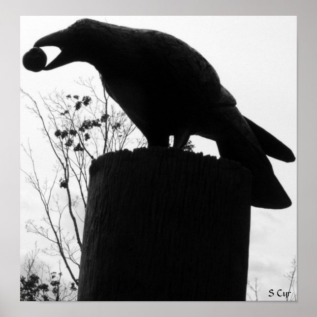 Póster Mordida de Raven, S Cyr (Frente)