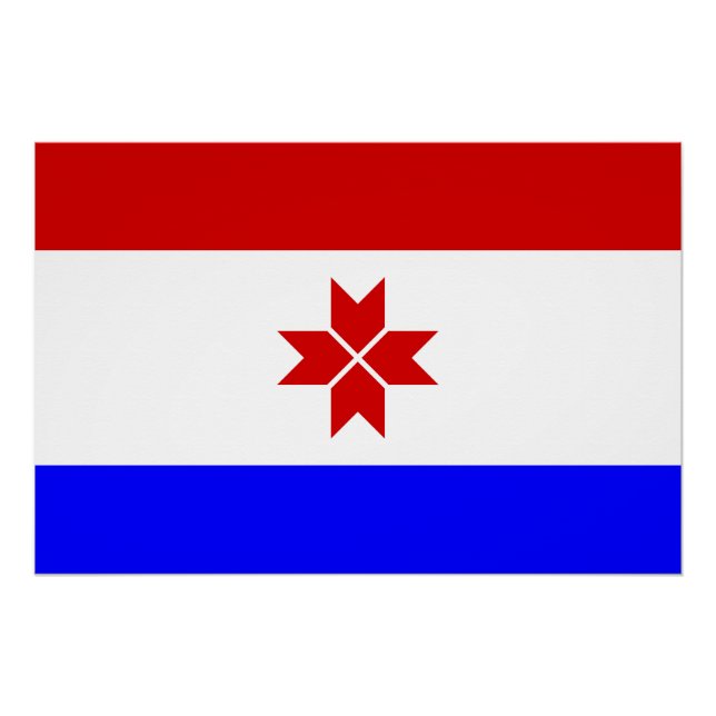 Póster Mordovia Flag (Frente)