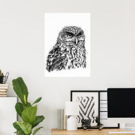 Poster Morepork