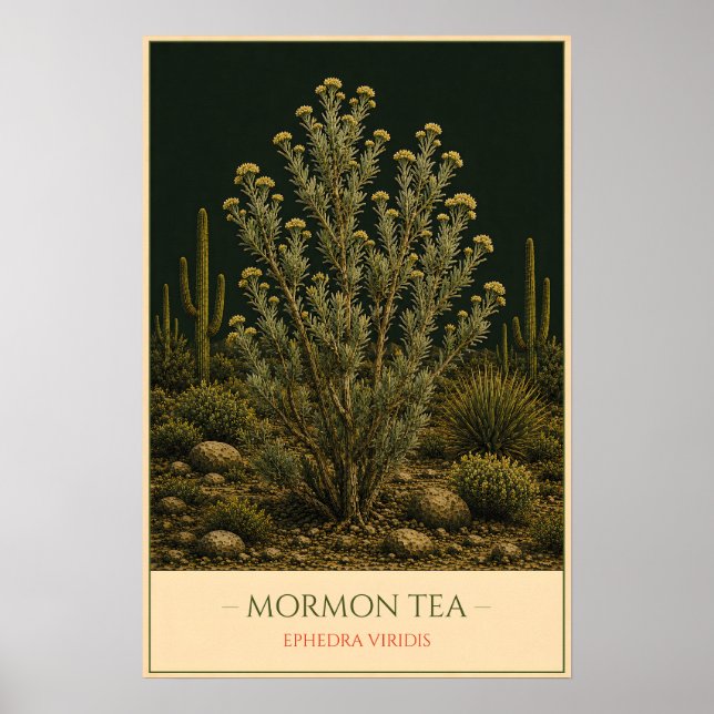 Poster Mormon Tea (Frente)