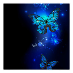 Póster Morpho Butterfly in the Dark Background