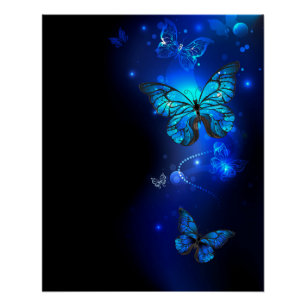 Póster Morpho Butterfly in the Dark Background