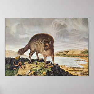 Poster "Morre o gestreifte Hyäne "