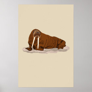Poster Morsa pacífica