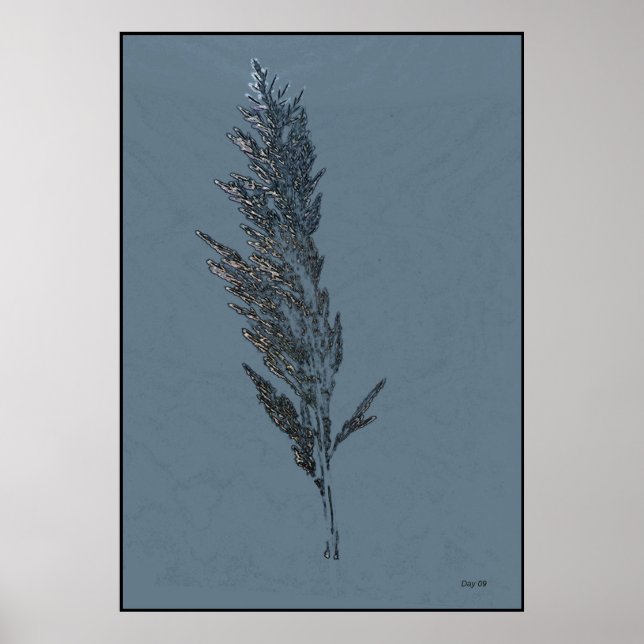 Póster Morte da Luz (Frente)