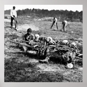 Póster Mortes no porto frio: 1865