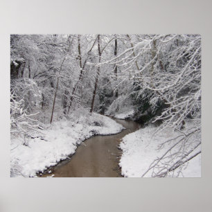 Póster Morto de inverno