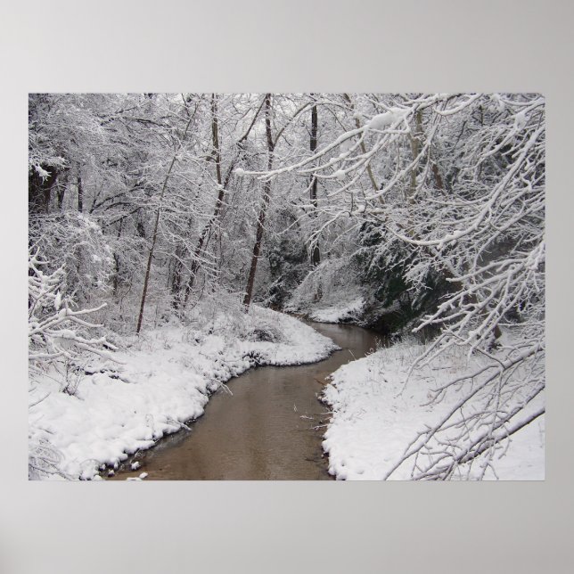 Póster Morto do inverno (Frente)