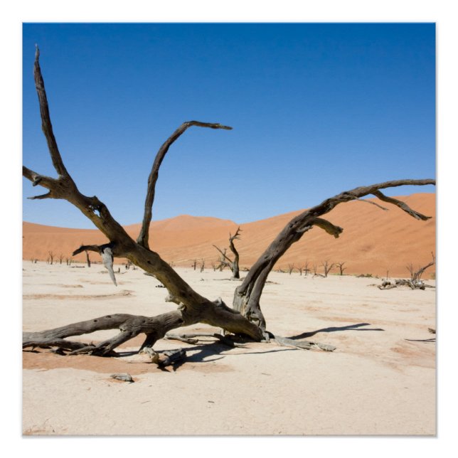 Póster Morto Vlei, Namíbia (Frente)