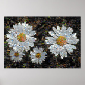Póster Mosaico Daisies 10