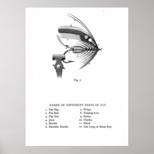 Poster mosca amarrada mão da pesca