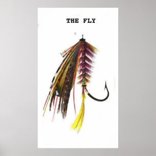 Poster mosca da pesca
