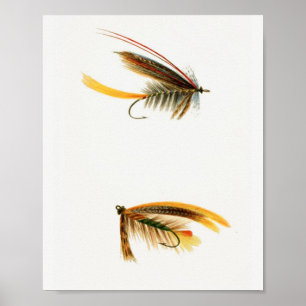 Poster Moscas de Pesca #3