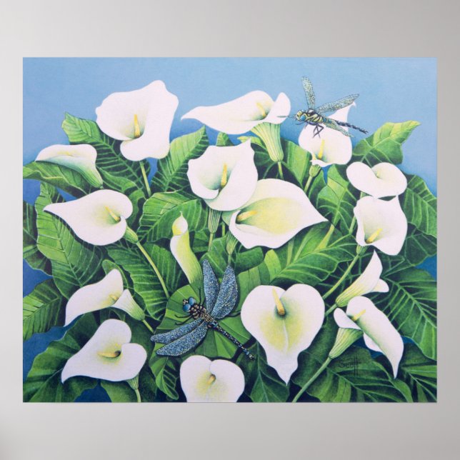 Póster Moscas Dragão (Frente)