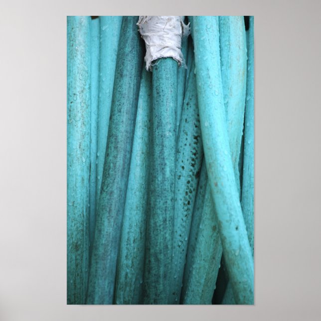 Póster Mose Bandida (Frente)