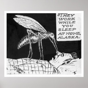 Póster Mosquitos gigantes Nome 1926