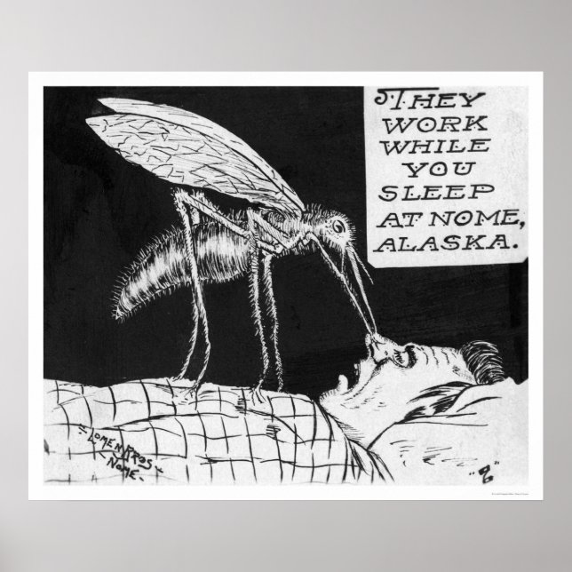 Póster Mosquitos Gigantes Nome 1926 (Frente)