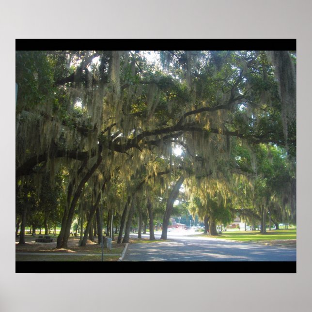 Póster Moss Espanhol na Geórgia (Frente)