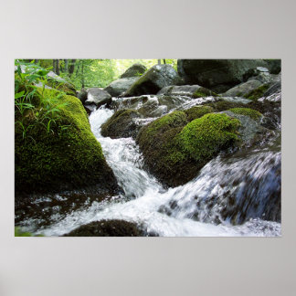 Póster Moss Falls