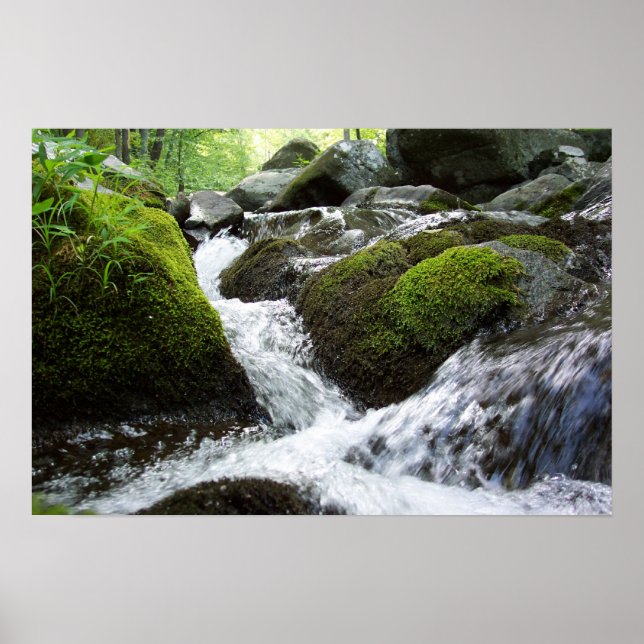 Póster Moss Falls (Frente)